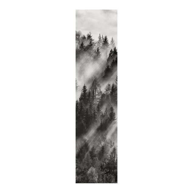 Sliding panel curtains set - Light Rays In The Coniferous Forest