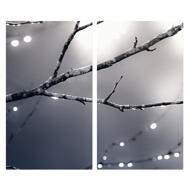 Stove top covers - Drops Of Light On A Branch Of A Birch Tree