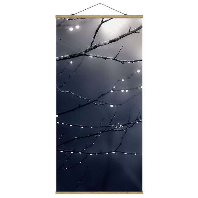 Fabric print with poster hangers - Drops Of Light On A Branch Of A Birch Tree - Portrait format 1:2