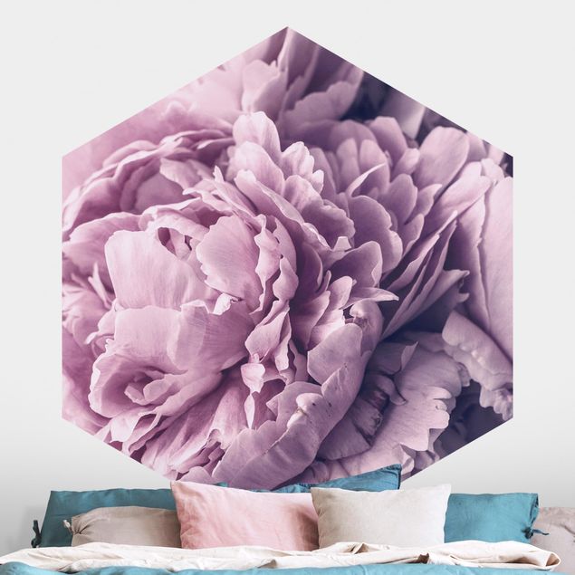 Self-adhesive hexagonal wall mural Purple Peony Blossoms