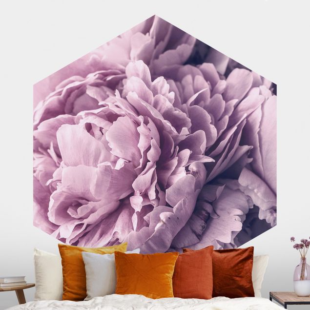 Wallpapers Purple Peony Blossoms