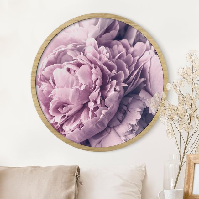 Framed prints round Purple Peony Blossoms