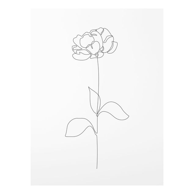 Glass print - Line Art Flowers - Peony
