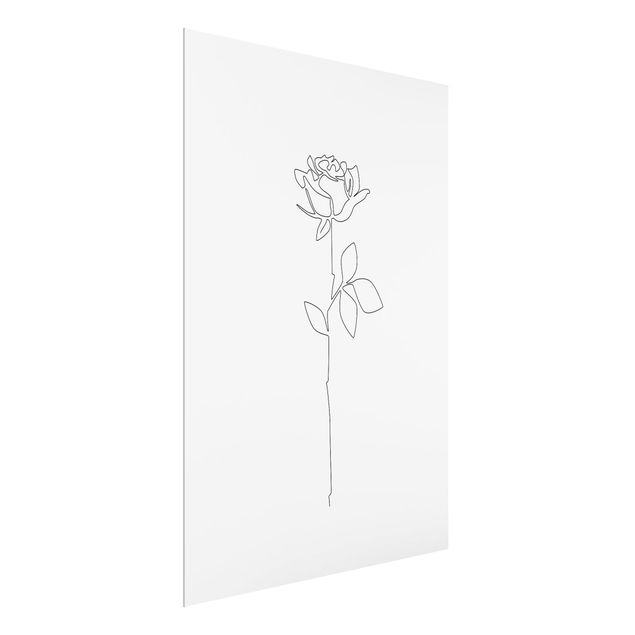 Glass print - Line Art Flowers - Rose
