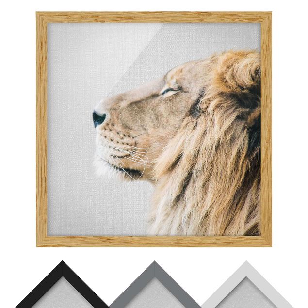 Framed poster - Lion Leopold