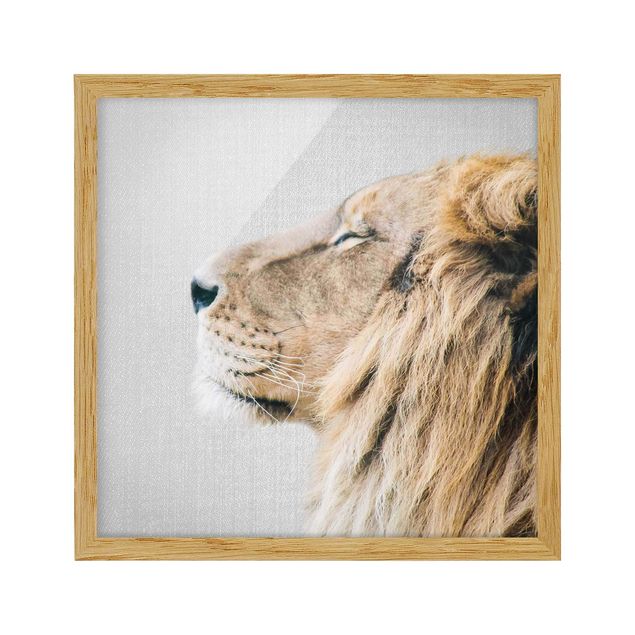 Framed poster - Lion Leopold