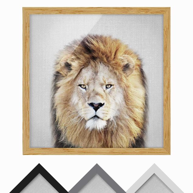 Framed poster - Lion Linus