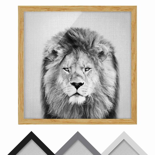 Framed poster - Lion Linus Black And White
