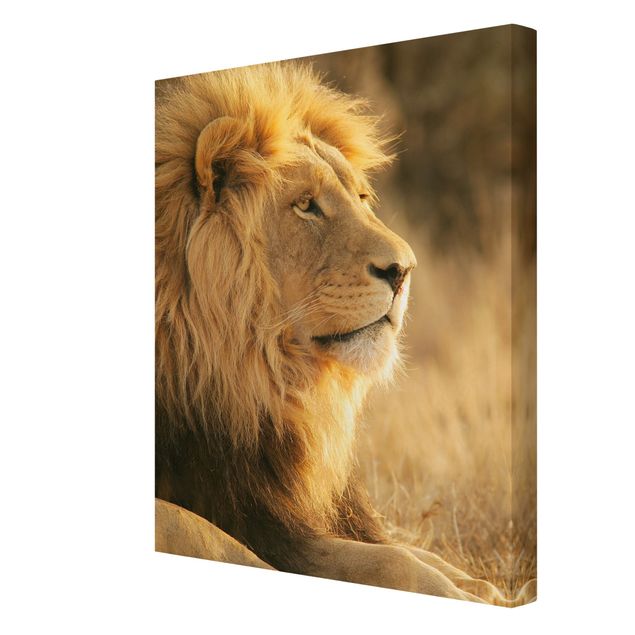Print on canvas - Lion King - Portrait format 3:4