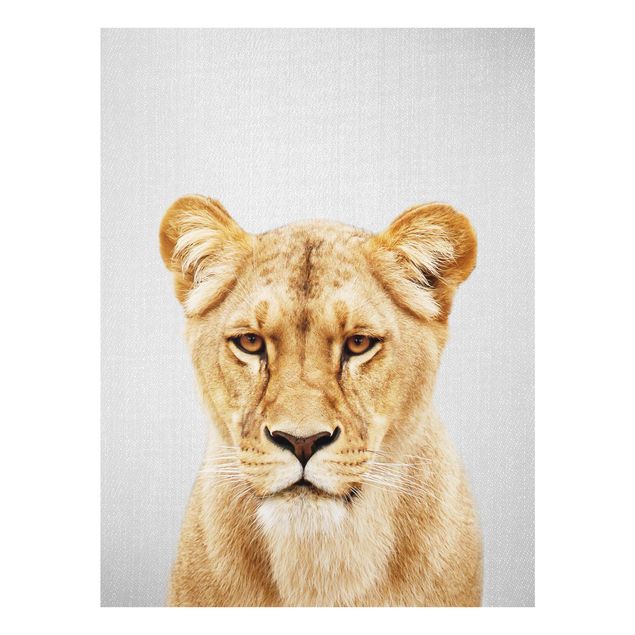 Glass print - Lioness Lisa