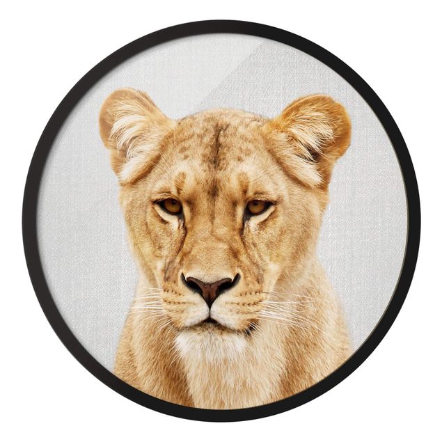 Circular framed print - Lioness Lisa