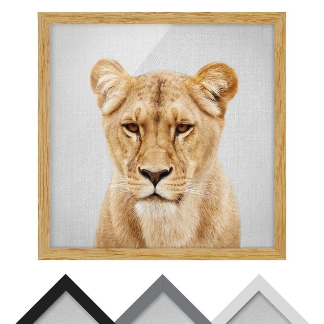Framed poster - Lioness Lisa