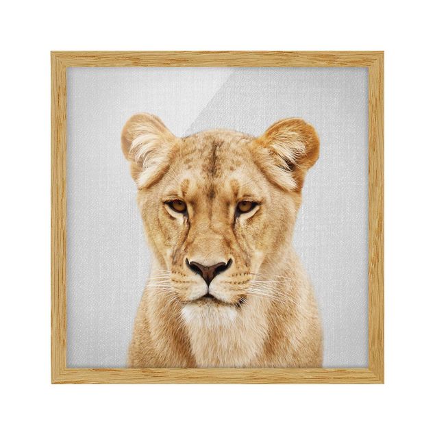 Framed poster - Lioness Lisa