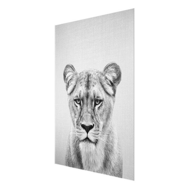 Glass print - Lioness Lisa Black And White