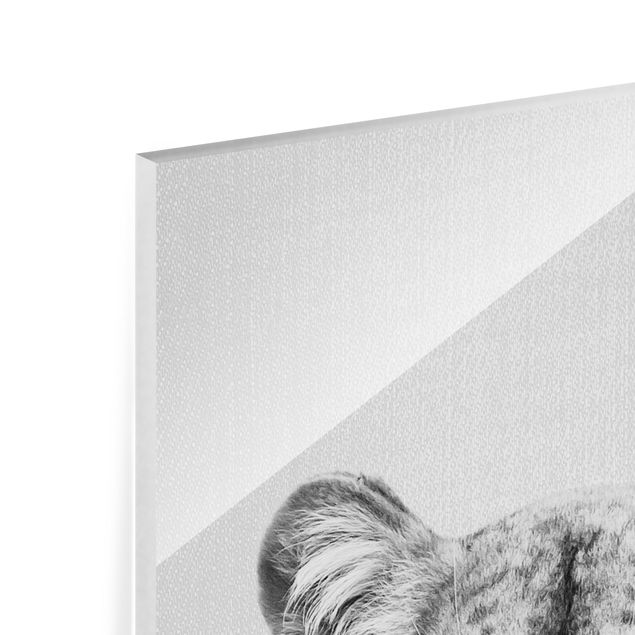 Glass print - Lioness Lisa Black And White