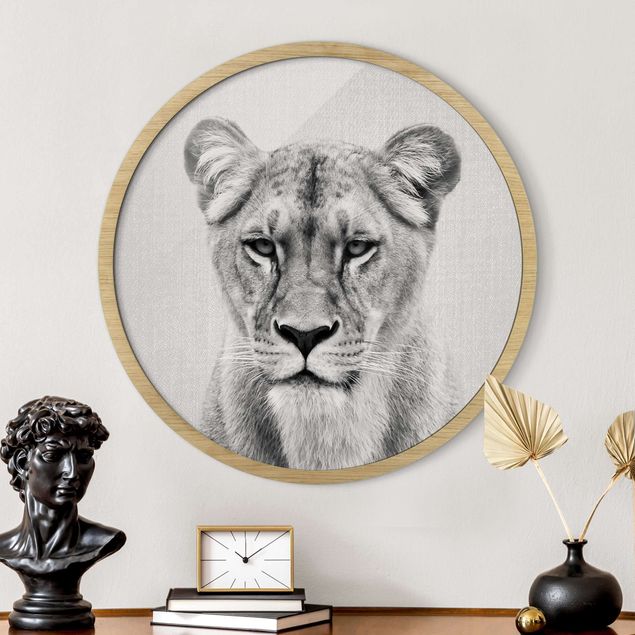 Framed prints round Lioness Lisa Black And White