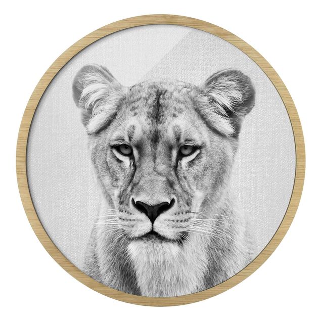 Circular framed print - Lioness Lisa Black And White
