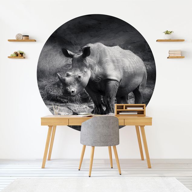 Wallpapers Lonesome Rhinoceros