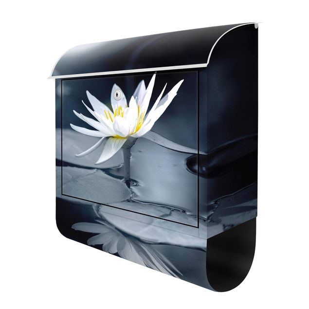 Letterbox - Lotus Reflection In The Water