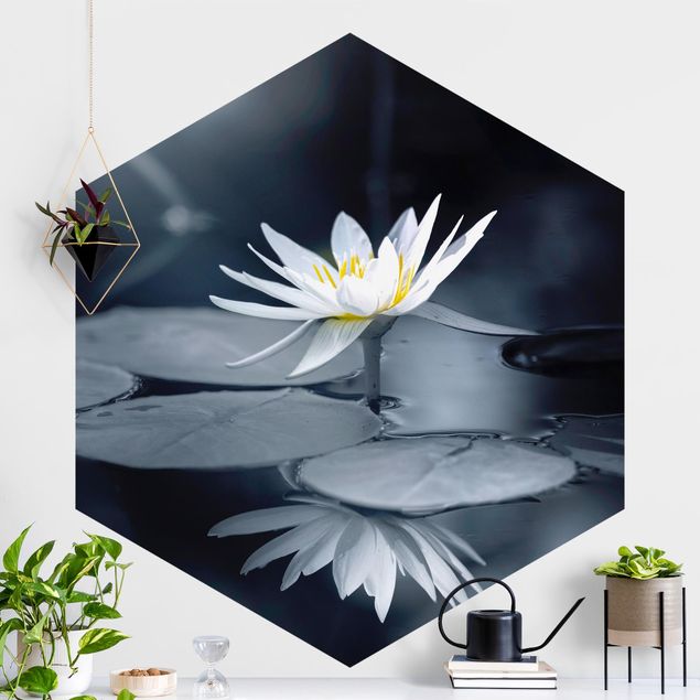 Self-adhesive hexagonal wall mural Lotus Reflection In The Water