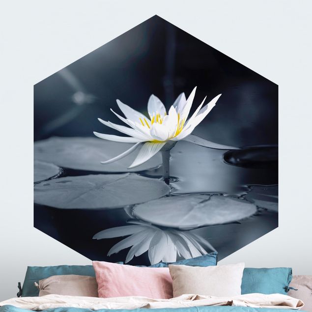 Wallpapers Lotus Reflection In The Water