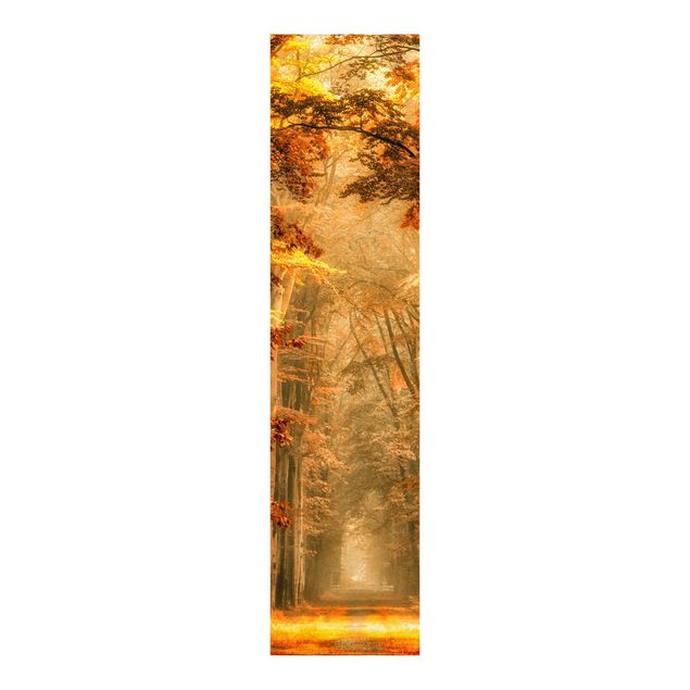 Sliding panel curtains set - Enchanted Forest In Autumn