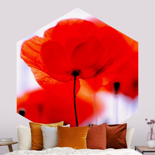 Self-adhesive hexagonal wall mural Magic Poppies