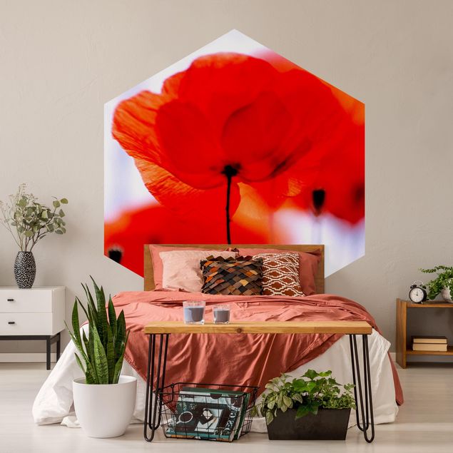 Self-adhesive hexagonal pattern wallpaper - Magic Poppies