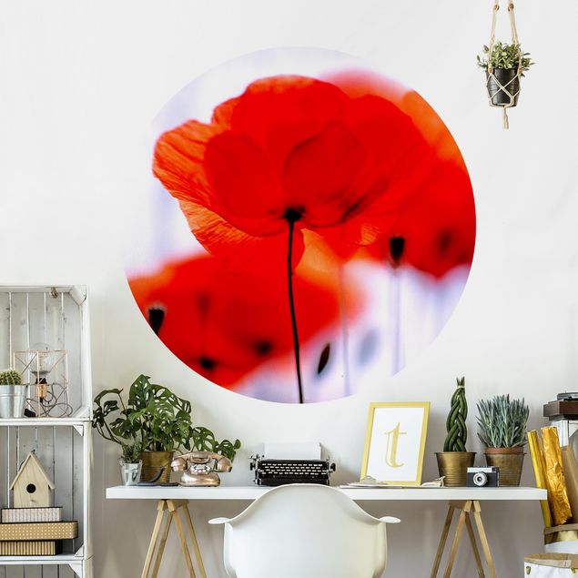 Wallpapers Magic Poppies