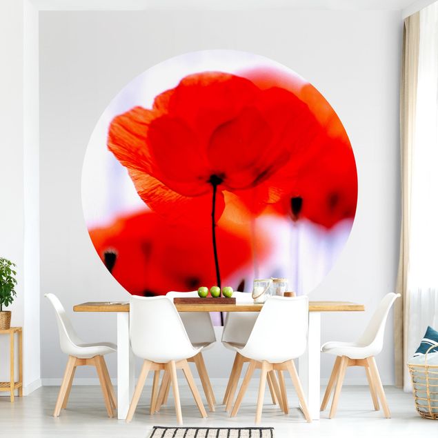 Self-adhesive round wallpaper - Magic Poppies