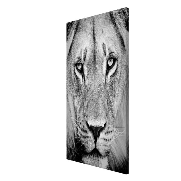 Magnetic memo board - Old Lion