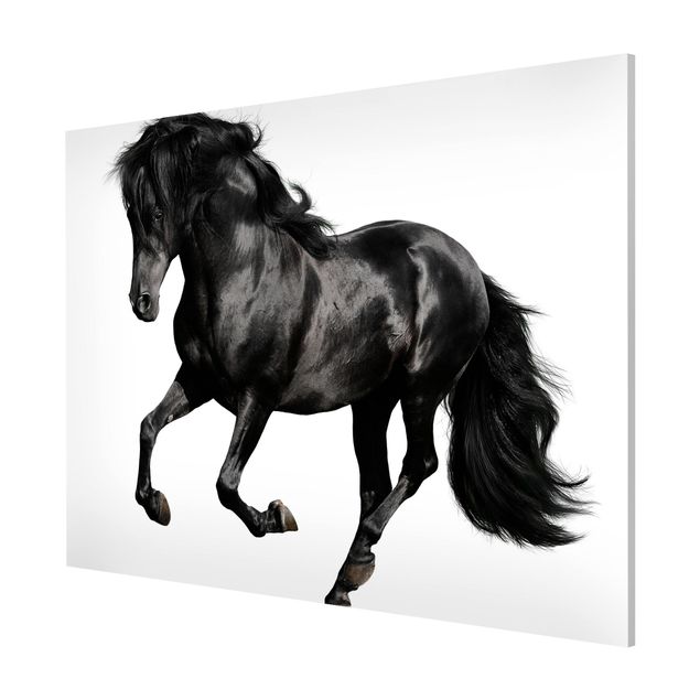 Magnetic memo board - Arabian Stallion