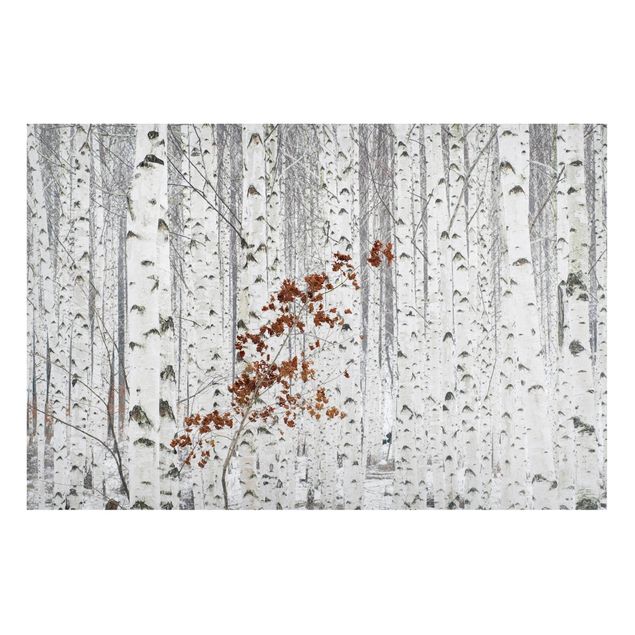 Magnetic memo board - Birch Trees In Autumn