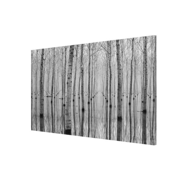 Magnetic memo board - Birches In November