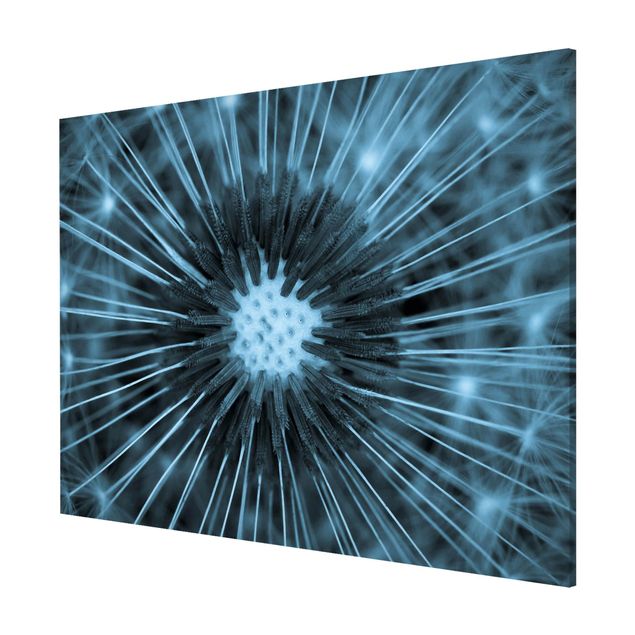Magnetic memo board - Blue Tinted Dandelion