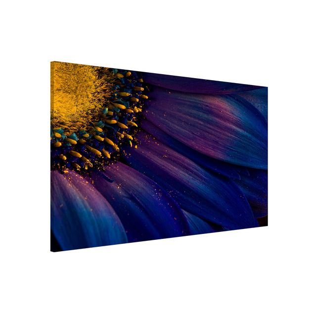 Magnetic memo board - Blue Gerbera Flower