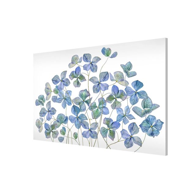 Magnetic memo board - Blue Hydrangea Flowers