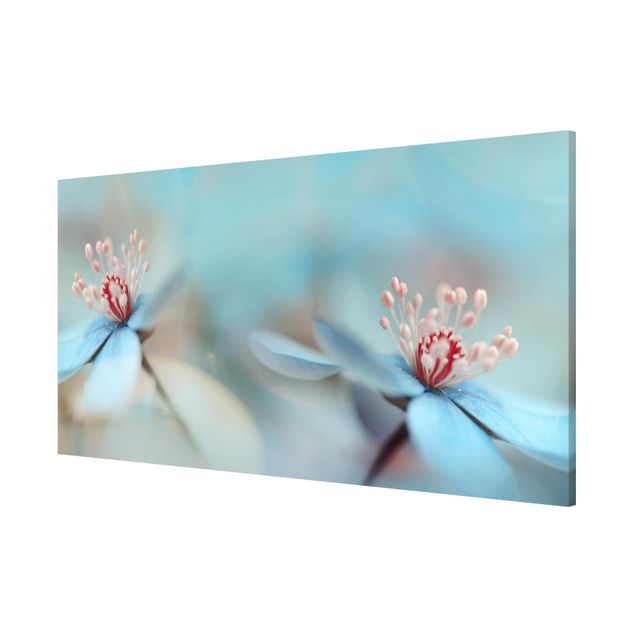 Magnetic memo board - Flowers In Light Blue
