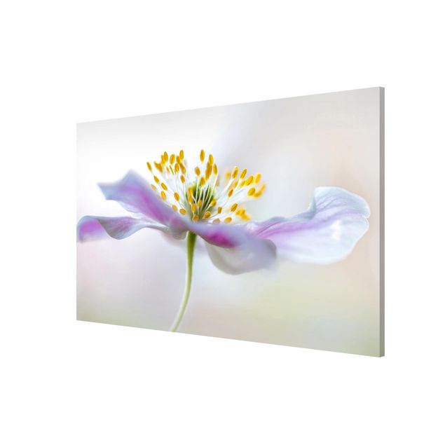 Magnetic memo board - Windflower In White