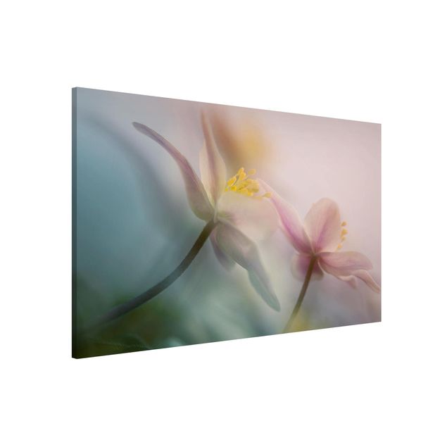 Magnetic memo board - Wood anemone