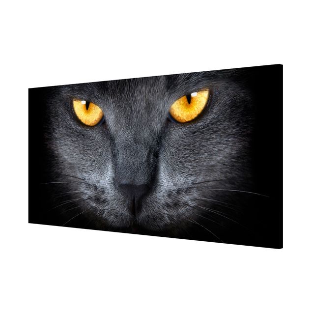 Magnetic memo board - Cat's Gaze