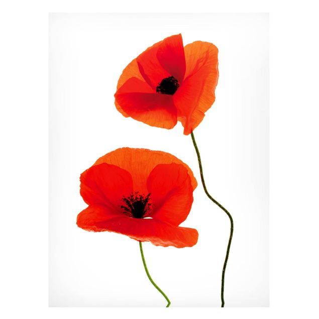 Magnetic memo board - Charming Poppies