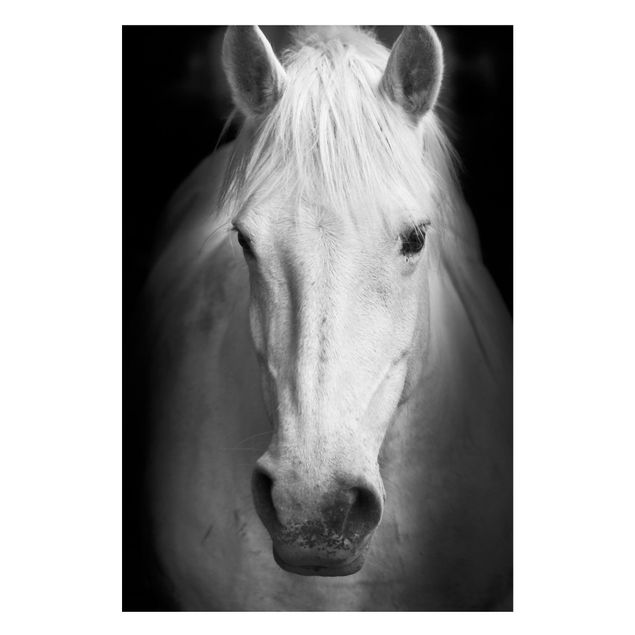 Magnetic memo board - Dream Of A Horse