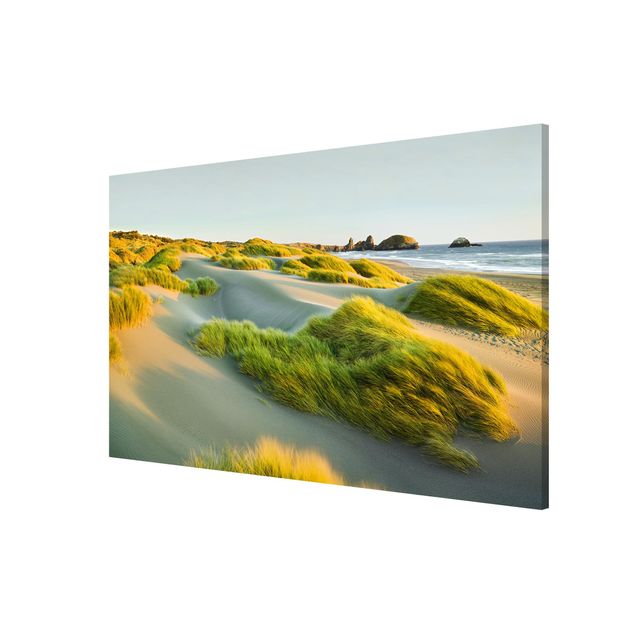 Magnetic memo board - Dunes And Grasses At The Sea
