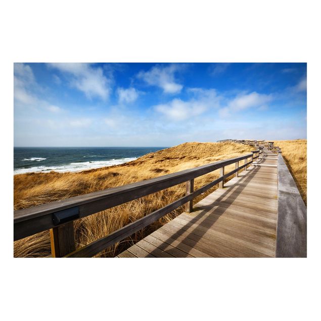 Magnetic memo board - Path between dunes at the North Sea on Sylt
