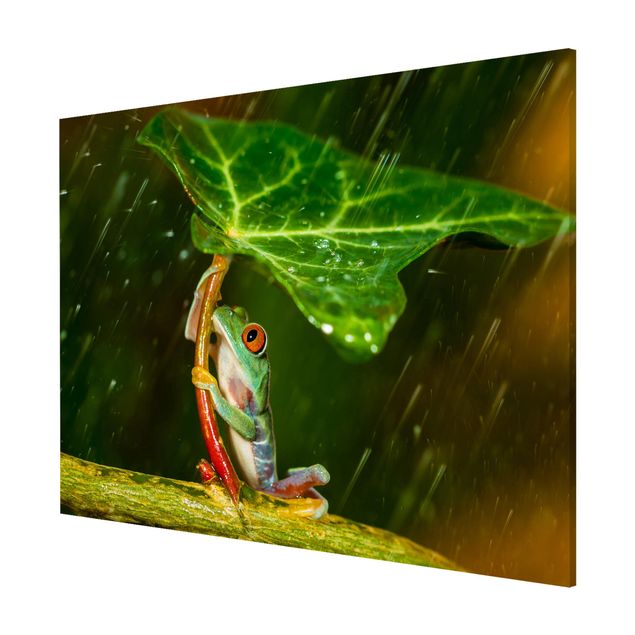 Magnetic memo board - Frog In The Rain