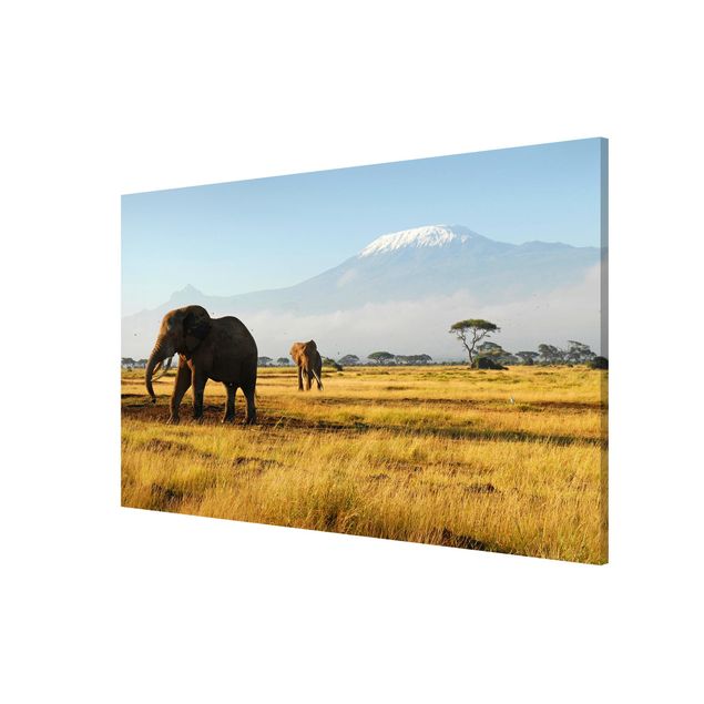 Magnetic memo board - Elephants In Front Of The Kilimanjaro In Kenya