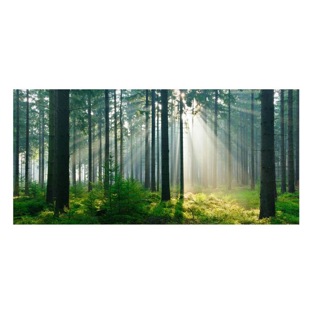 Magnetic memo board - Enlightened Forest