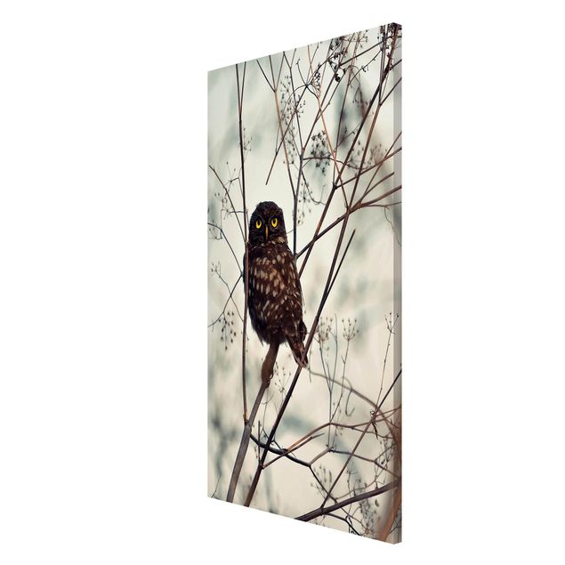 Magnetic memo board - Owl In The Winter