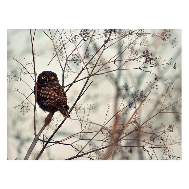 Magnetic memo board - Owl In The Winter